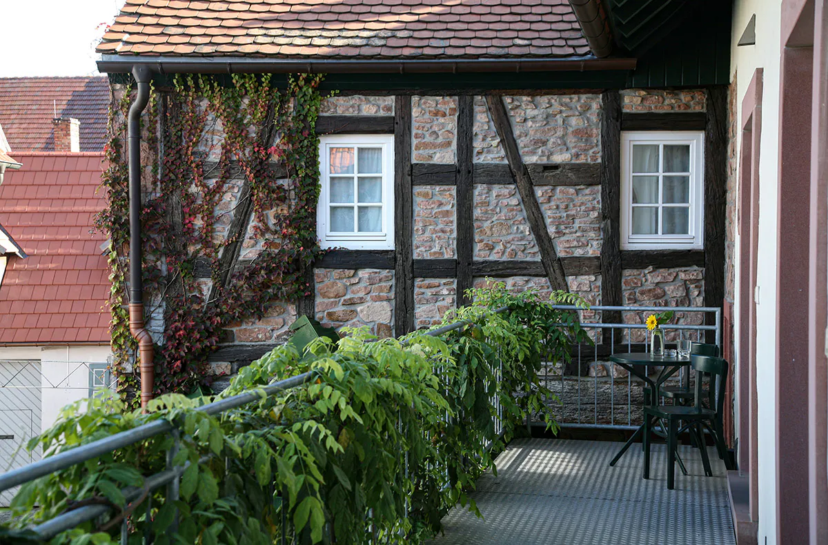 Kochkurs für Männer Weisenheim am Berg - 5
