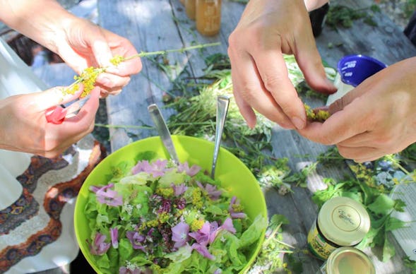 Kräuterwanderung inkl. 4-Gänge-Menü Wegberg