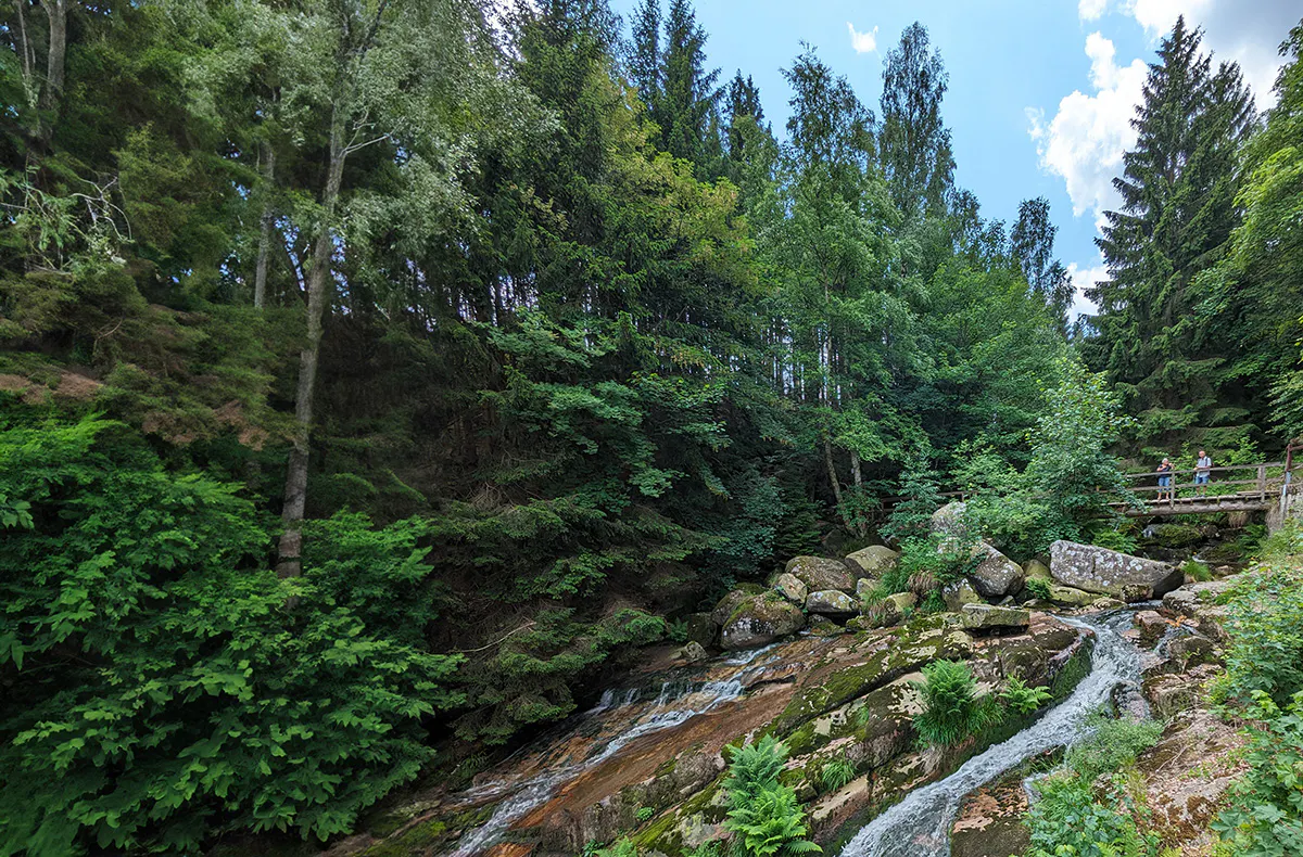 Wanderurlaub im Harz für 2 (2 Nächte) - 8
