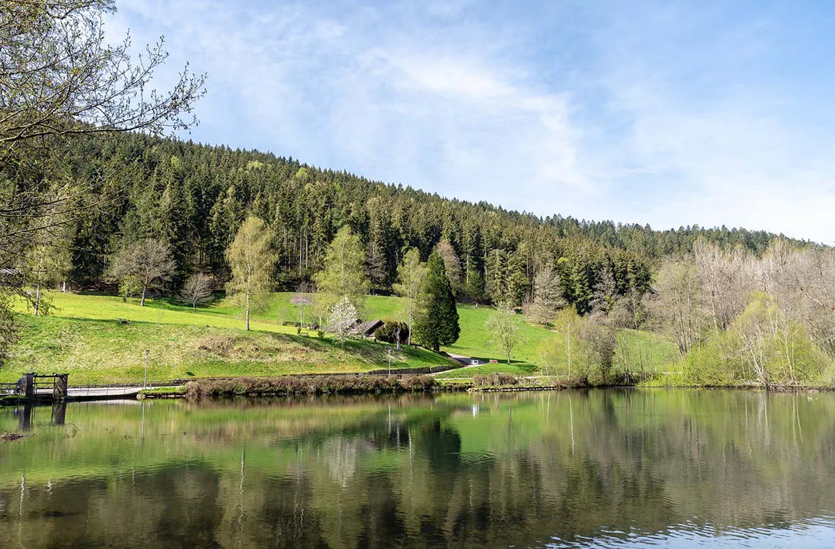 Wellnessurlaub im Schwarzwald (Berneck) für 2 (2 Nächte) - 7