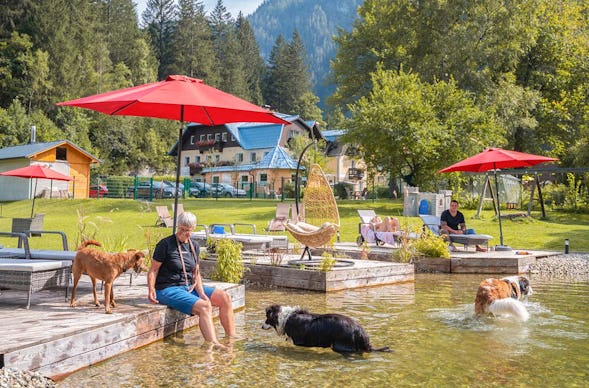 Urlaub mit Hund Bad Gastein