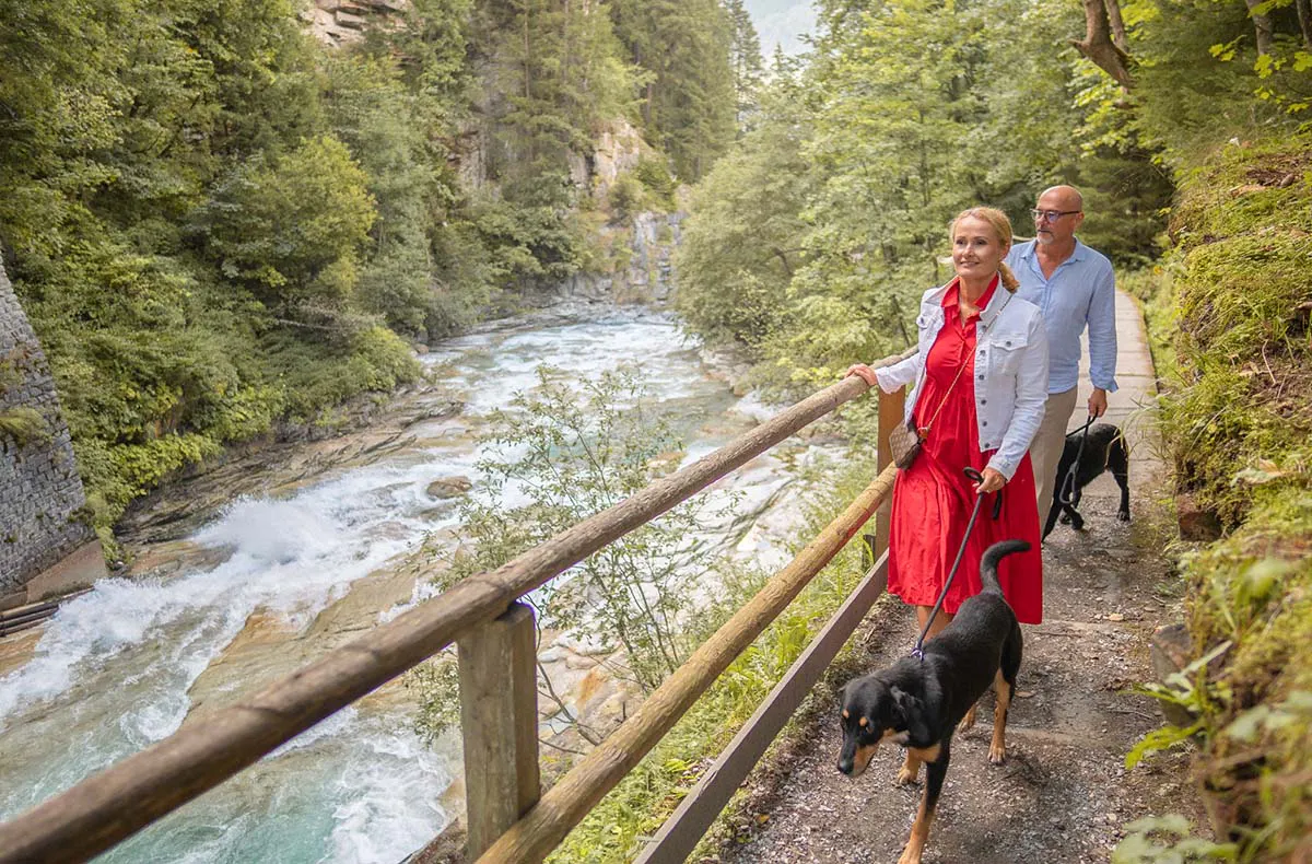 Urlaub mit Hund Bad Gastein - 11