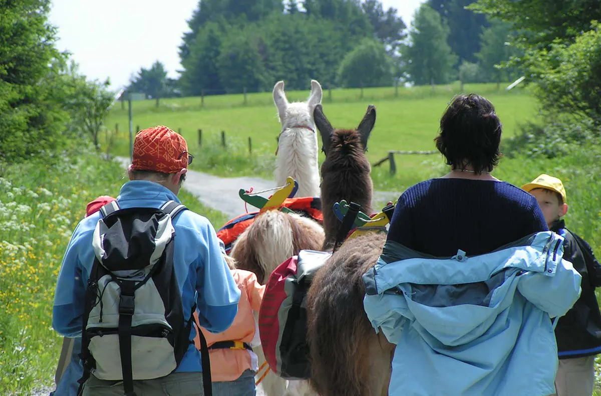 Lama Trekking Poppenhausen für 2 - 5