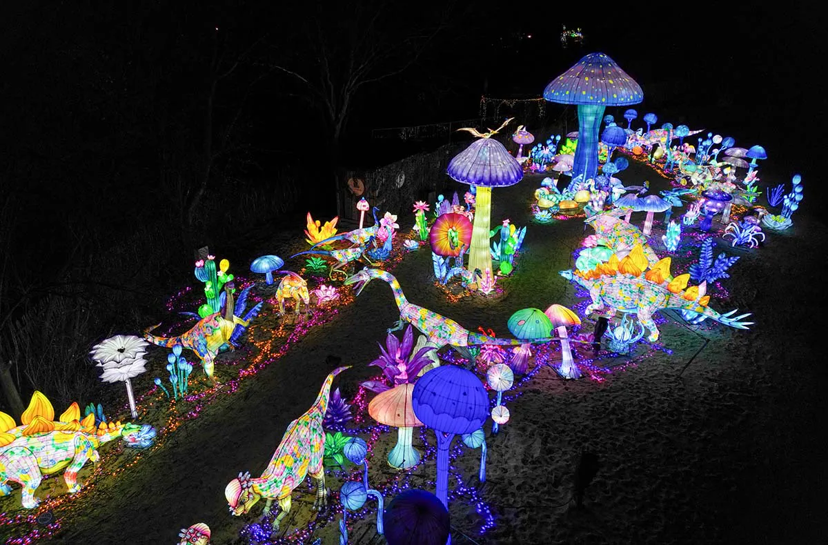 Lichterfestival mit Übernachten im Serengeti-Park für 2 (1 Nacht) - 3