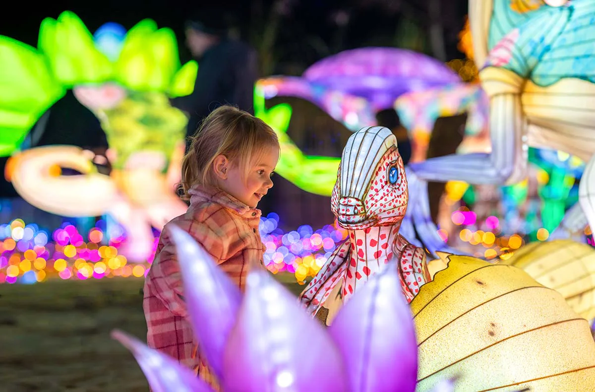 Lichterfestival mit Übernachten im Serengeti-Park für 2 (1 Nacht) - 2