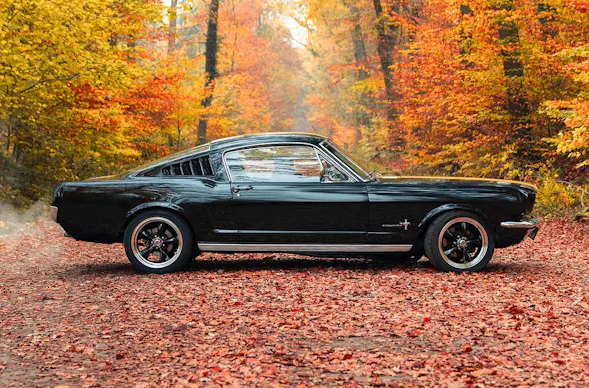 1966er Mustang Fastback mieten Hamburg (8 Std.)