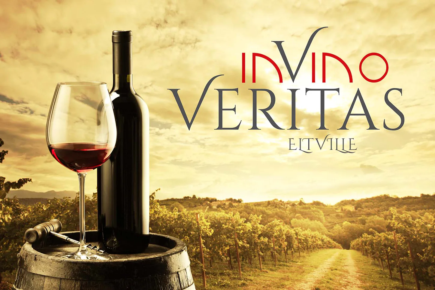 Outdoor Escape Gruppe - Anfänger "In Vino Veritas" Eltville am Rhein - 2
