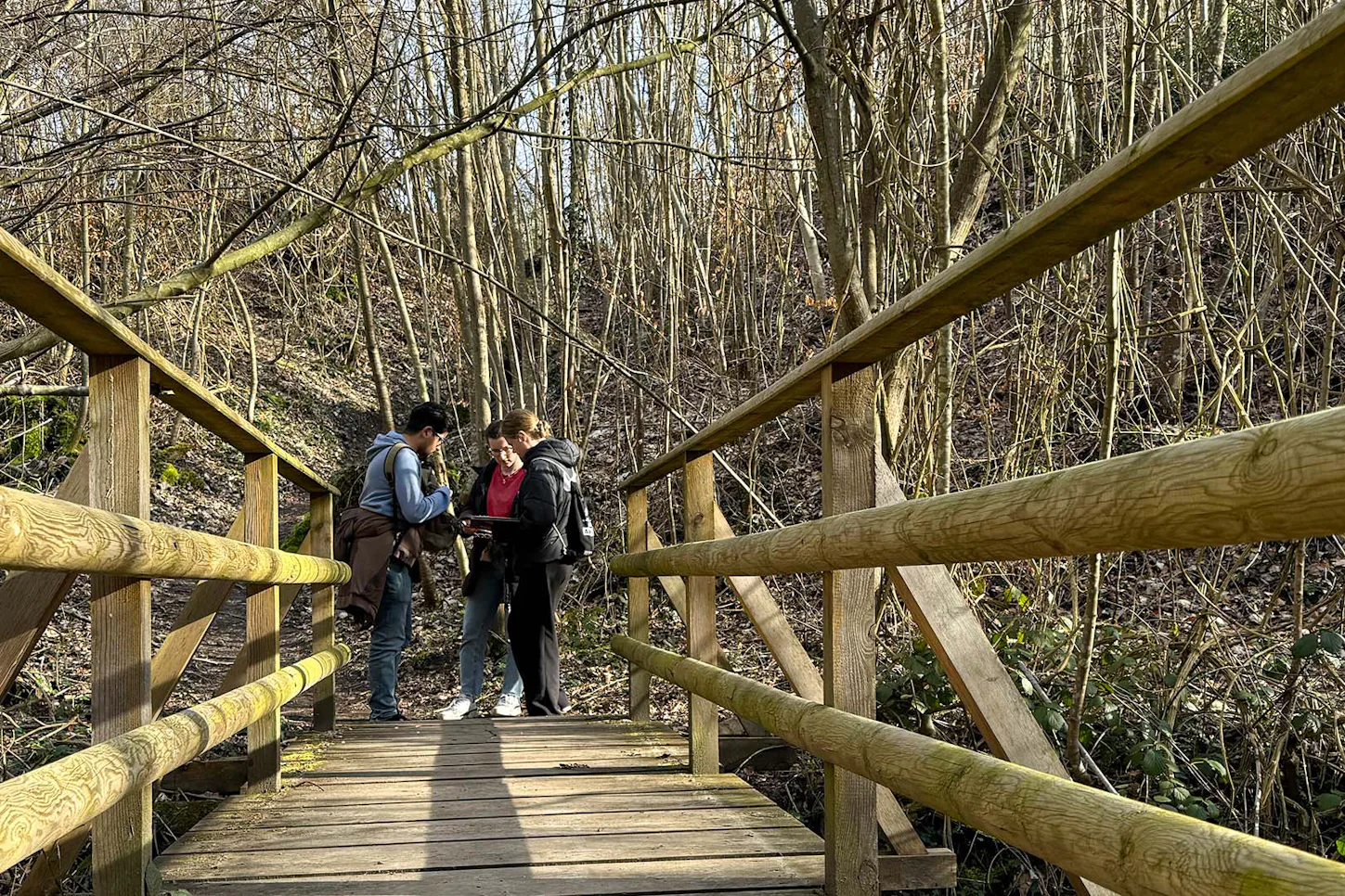 Outdoor Escape Gruppe - Fortgeschrittene "Fluch der 7 Linden" Stuttgart - 3
