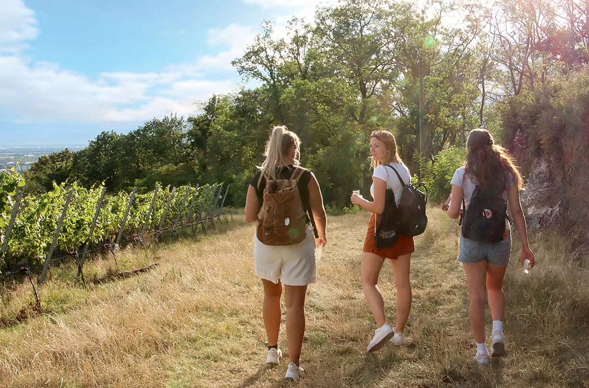 Outdoor Escape Gruppe - Anfänger "In Vino Veritas" Traben-Trarbach - 4