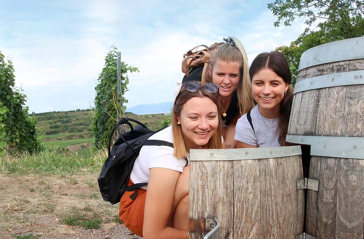 Outdoor Escape Gruppe - Anfänger "In Vino Veritas" Zeil a. Main - 1