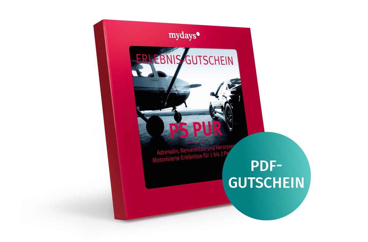 Geschenkbox PS Pur als PDF