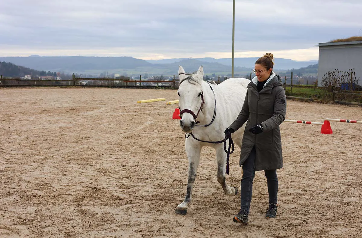 Pferdegestütztes Coaching Ammerbuch - 2