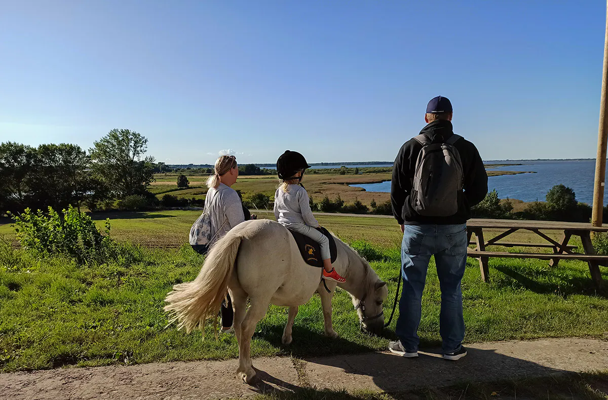 Pony Spaziergang Barth - 5