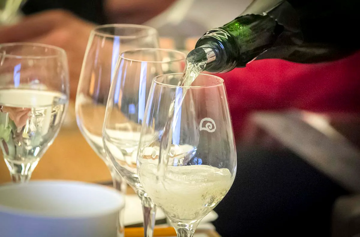 Rebsortenkurs mit Degustation für 2 Bonn - 6