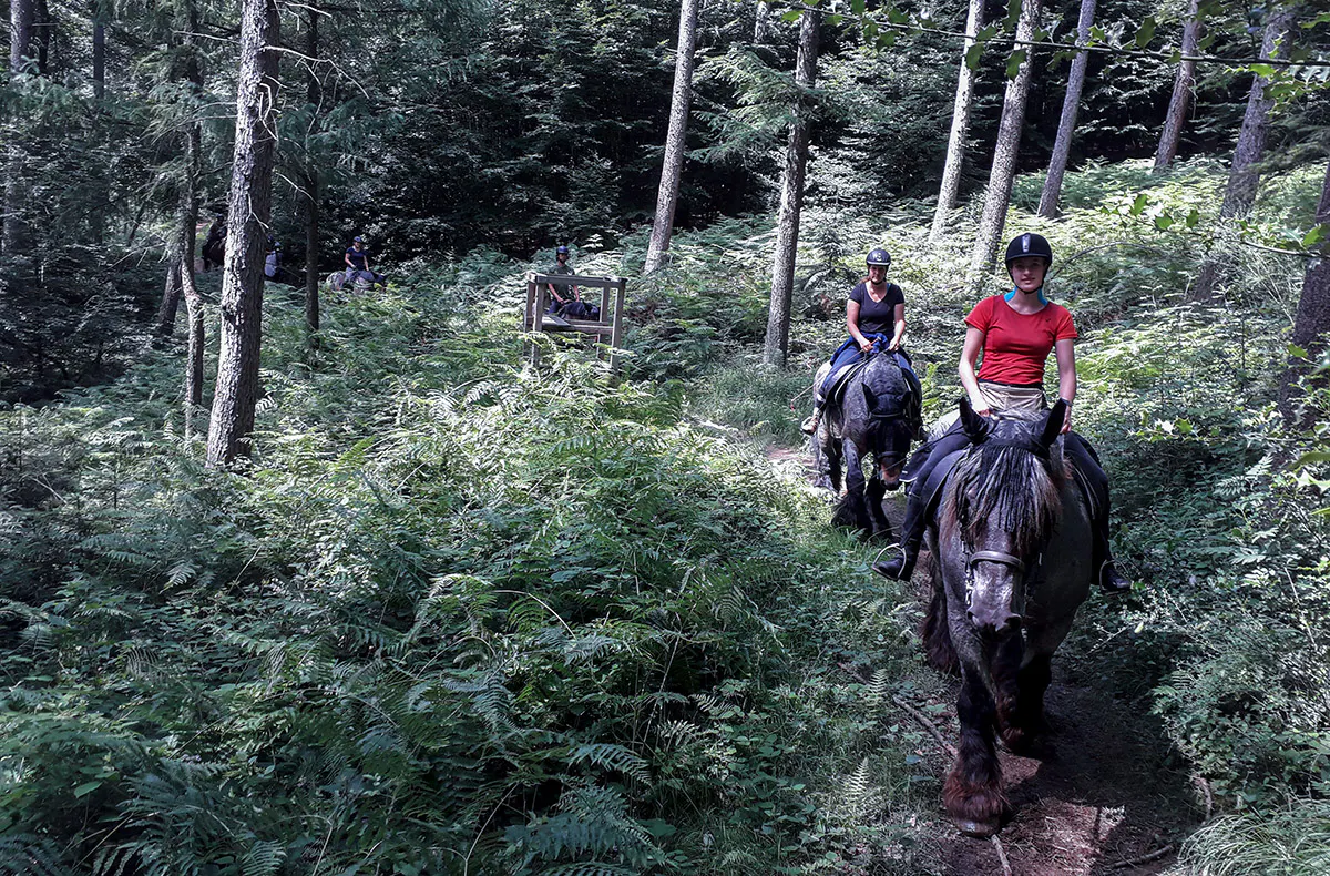 Reiten Windeck - 5