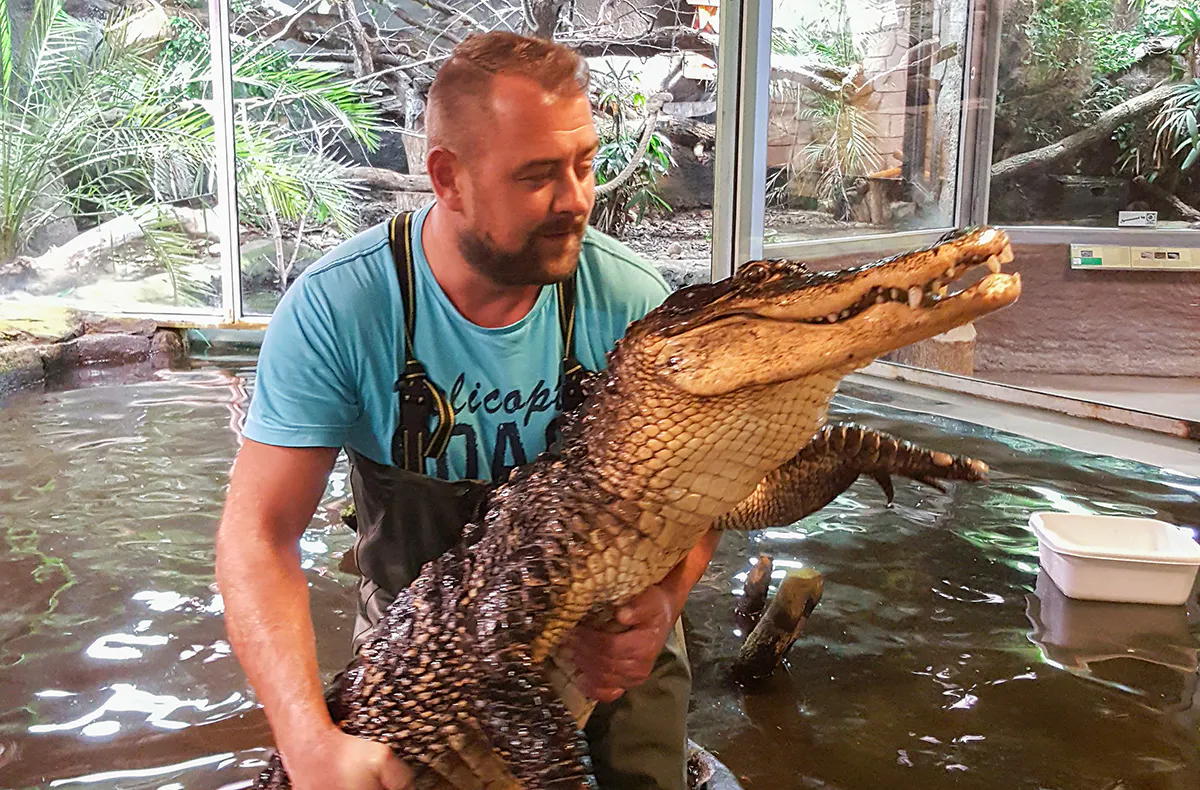 Reptilien-Fütterung in Landau - 5