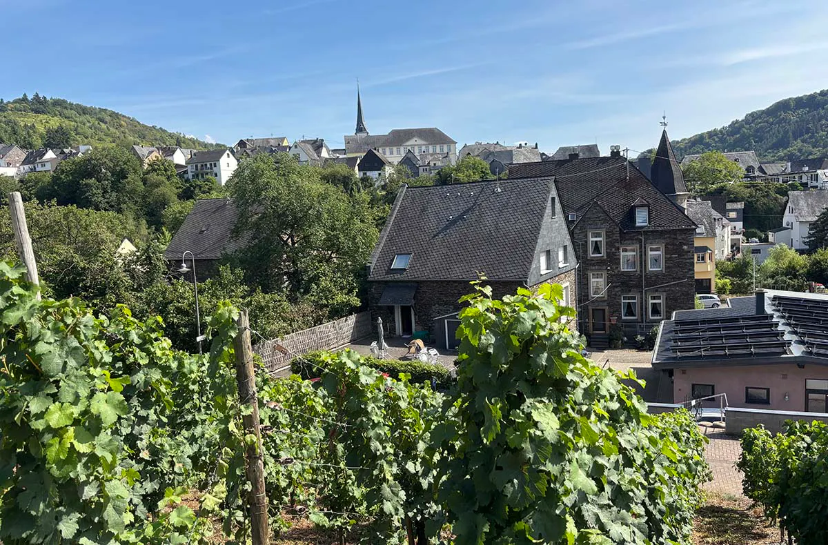 Kurzurlaub im Weingut an der Mosel für 2 (2 Nächte) - 6