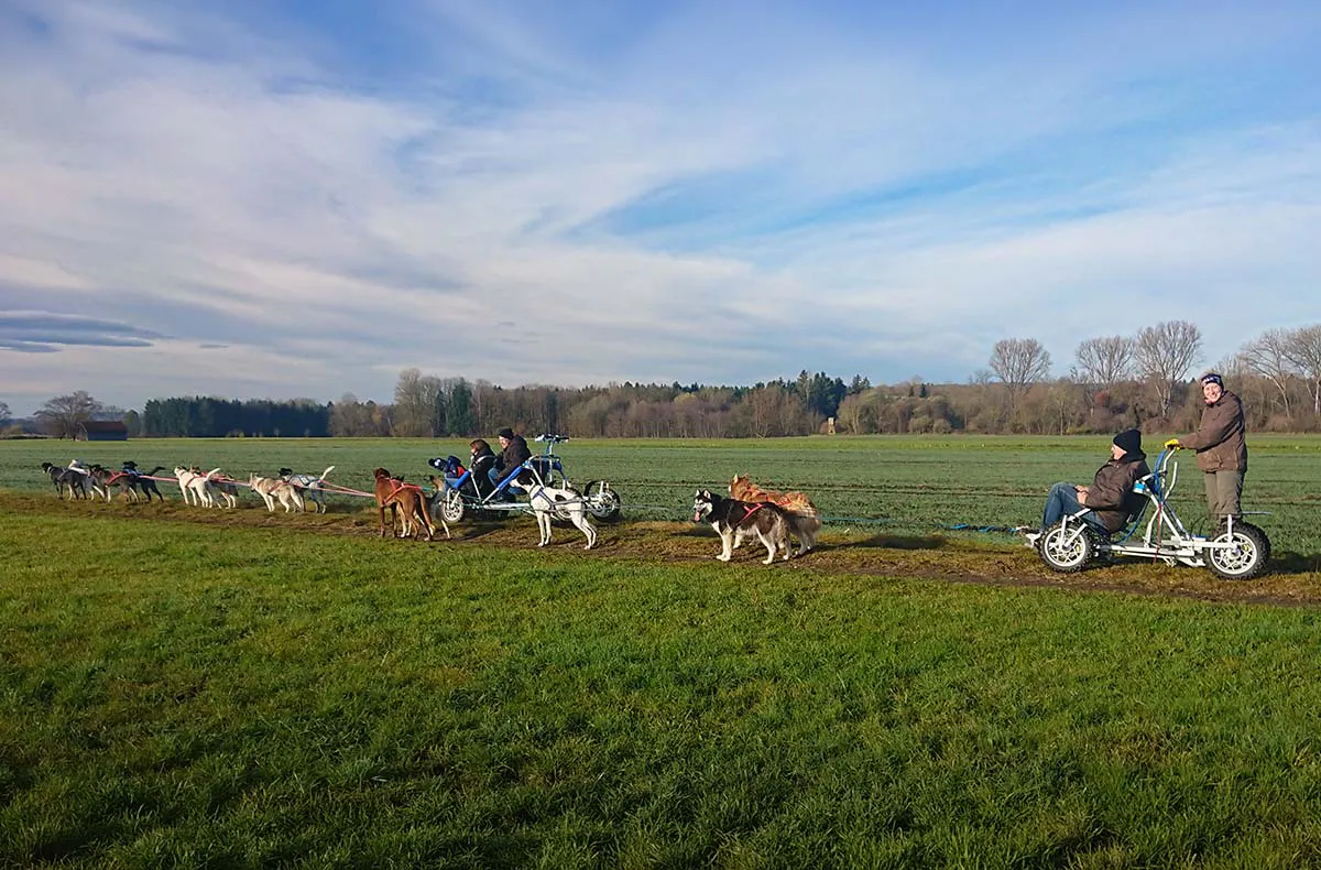 Schlittenhundefahrt Schwabmünchen - 6