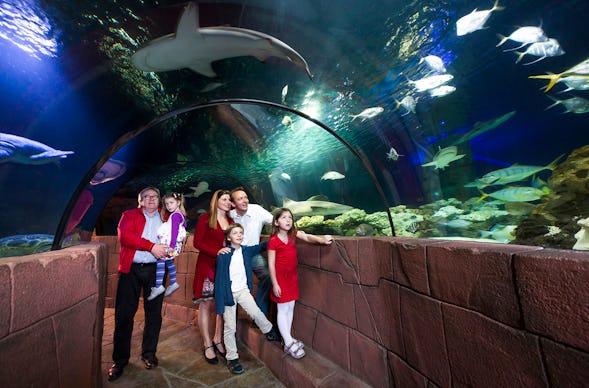 Sea Life Hannover (Kinder-Ticket)