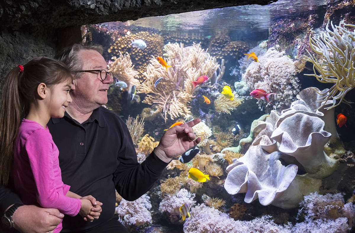 Sea Life Speyer (Kinder-Ticket)