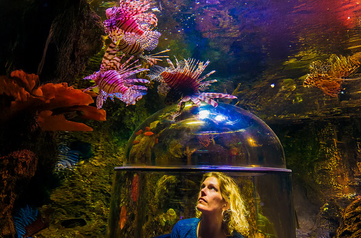 Sea Life Timmendorfer Strand - 5