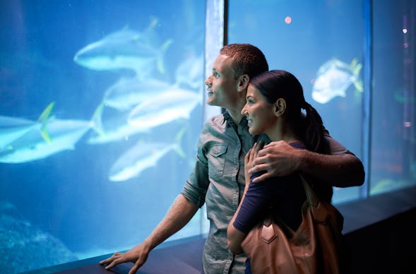 Frühstück & Sea Life München für 2