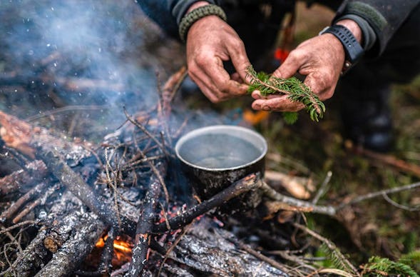 Survival Kurs Dettmannsdorf (Nahrung und Wasser)