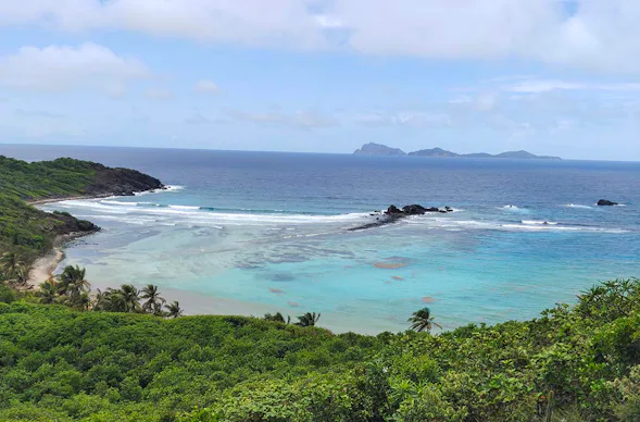 Survival Training Karibik