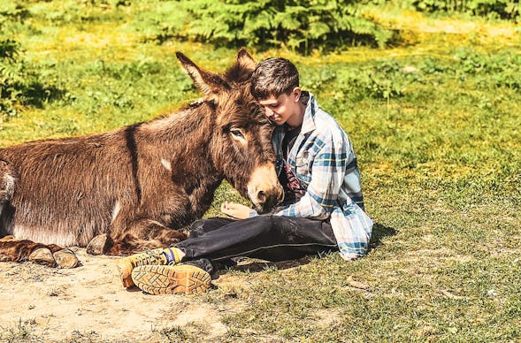 Tagestour mit Eseln Eppenbrunn für 2