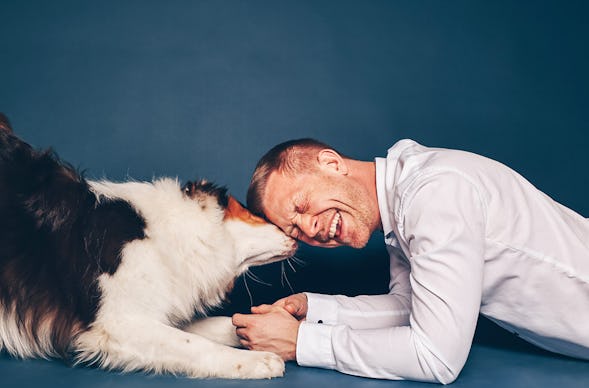 Tier Fotoshooting Sindelfingen