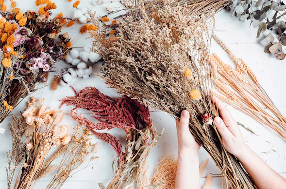 Trockenblumen Strauß selber machen Neuburg a.d.Donau