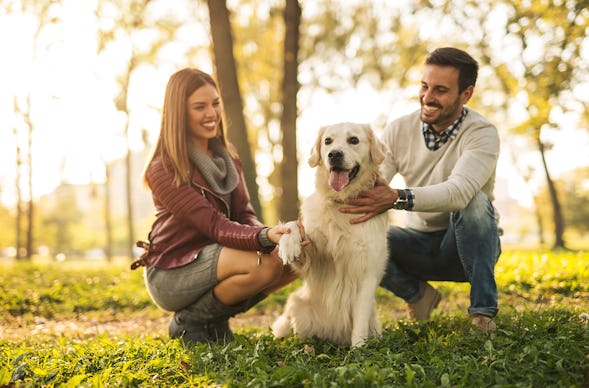 Urlaub mit Hund Lindberg für 2 (2 Nächte)