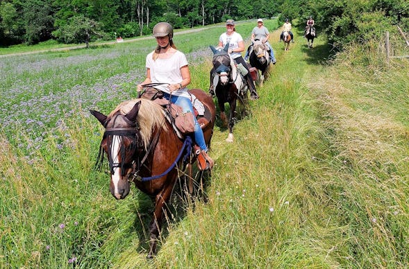 Wanderreiten mit Picknick Weiler bei Monzingen