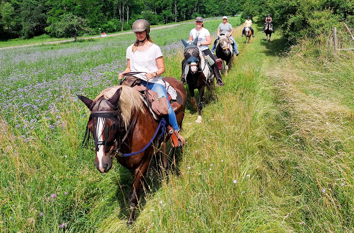 Wanderreiten mit Picknick Weiler bei Monzingen - 1