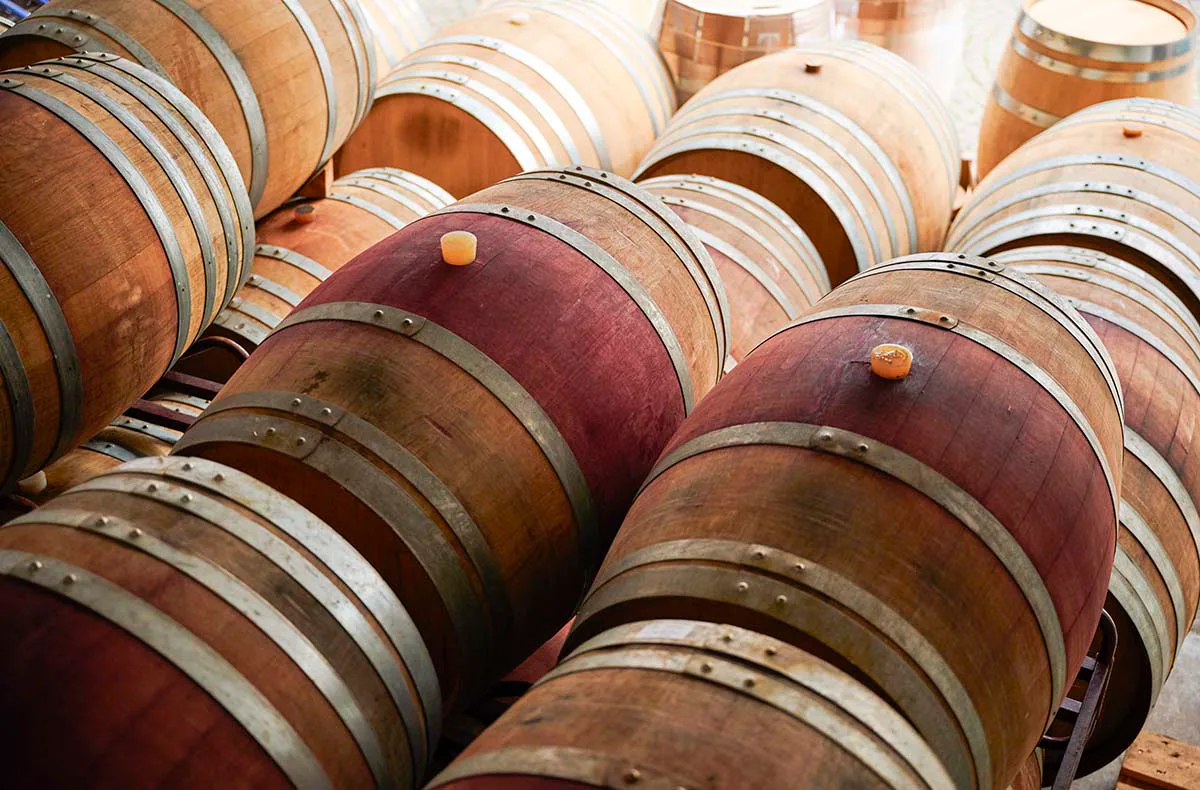 Weinprobe mit Kellerführung Rhodt unter Rietburg für 2 - 3
