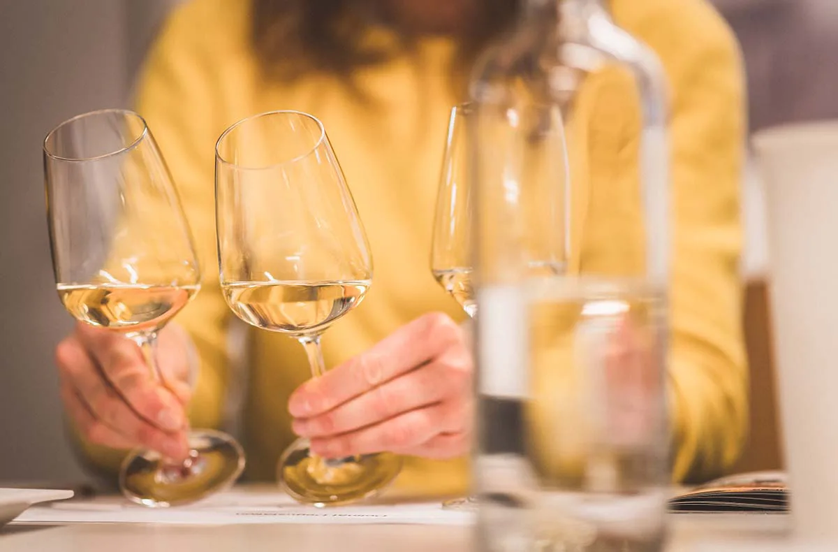 Weinseminar für Einsteiger Karlsruhe - 2