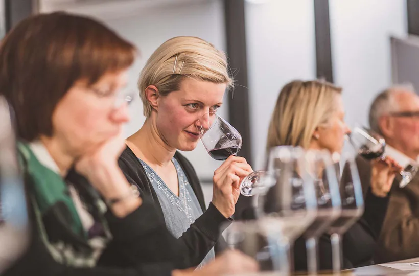 Weinseminar für Einsteiger Würzburg
