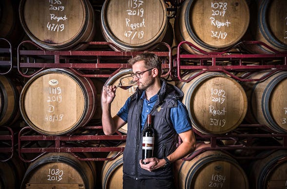 Weintour mit Weinverkostung Sankt Aldegund