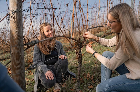 Weinwanderung Lieser an der Mosel