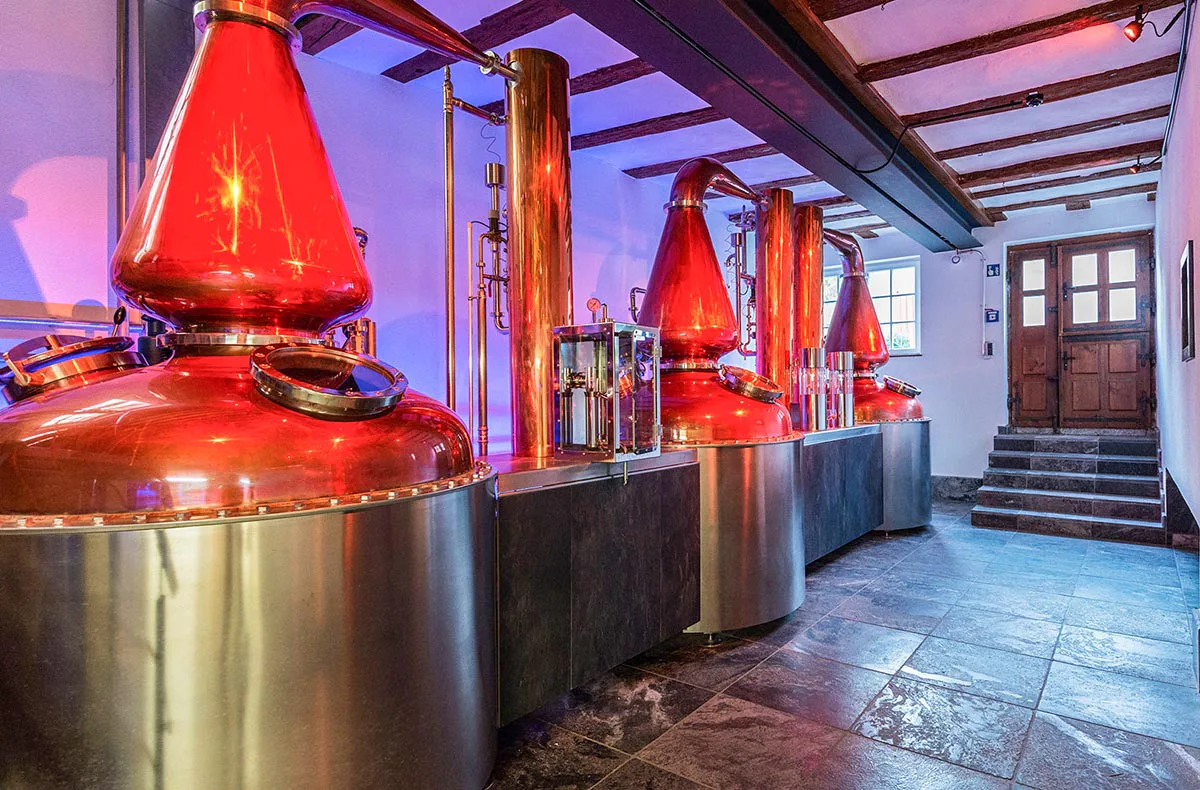 Whisky Tasting für Fortgeschrittene Kappelrodeck - 6