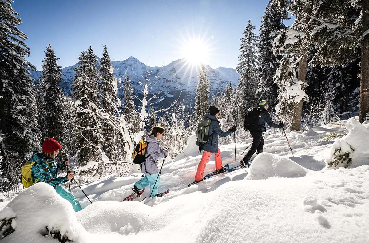 Winter Alpine Adventure Wilderswil - 3