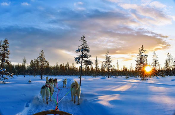 Wintersegelreise Nordnorwegen für 1 (7 Nächte)