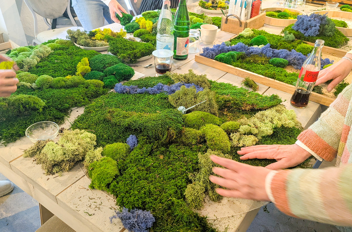 Workshop Bottrop (Moosbild)